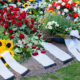 funeral service advice for UK deaths